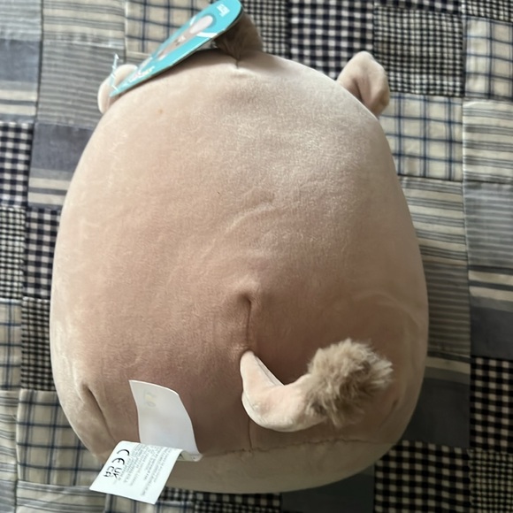🔥🆕 Warren the Boar Squishmallow - Picture 2 of 3